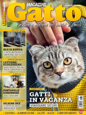 Gatto Magazine - Magazine